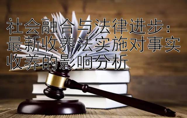 社会融合与法律进步：最新收养法实施对事实收养的影响分析