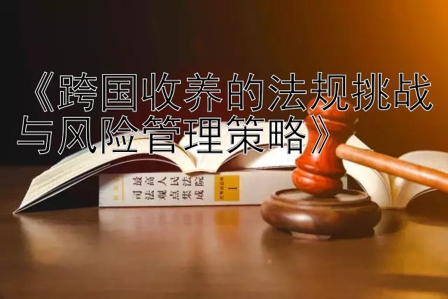 《跨国收养的法规挑战与风险管理策略》