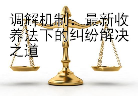 调解机制：最新收养法下的纠纷解决之道