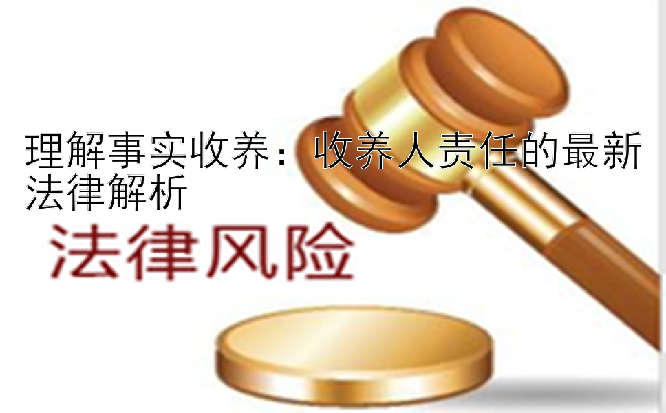 理解事实收养：收养人责任的最新法律解析