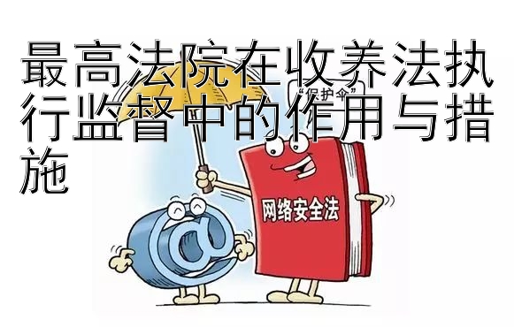 最高法院在收养法执行监督中的作用与措施