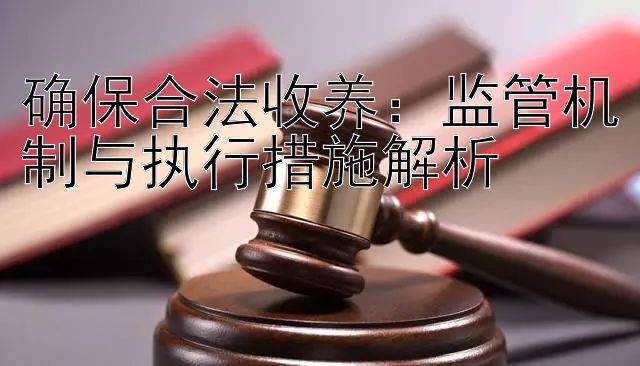 确保合法收养：监管机制与执行措施解析