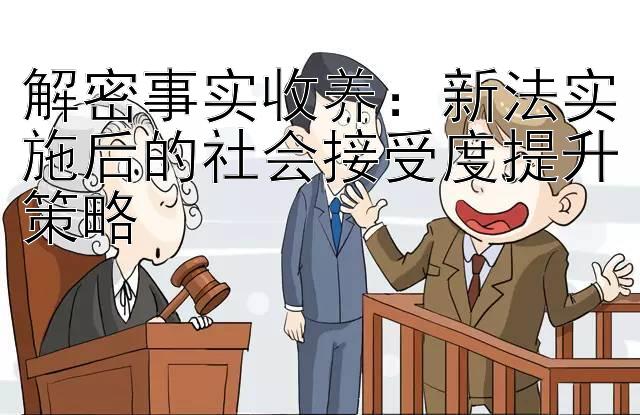 解密事实收养：新法实施后的社会接受度提升策略