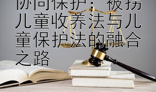 协同保护：被拐儿童收养法与儿童保护法的融合之路