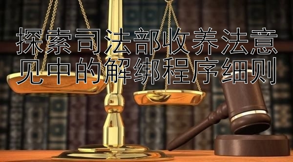 探索司法部收养法意见中的解绑程序细则