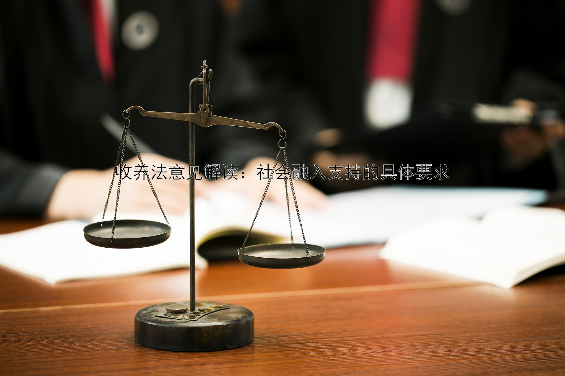 收养法意见解读：社会融入支持的具体要求