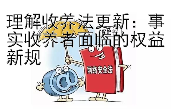 理解收养法更新：事实收养者面临的权益新规