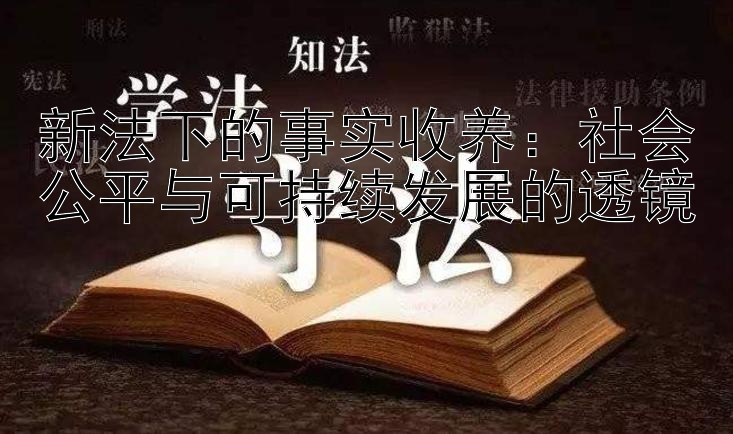 新法下的事实收养：社会公平与可持续发展的透镜