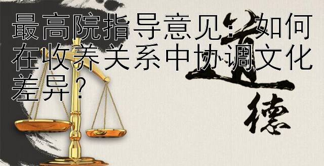 最高院指导意见：如何在收养关系中协调文化差异？