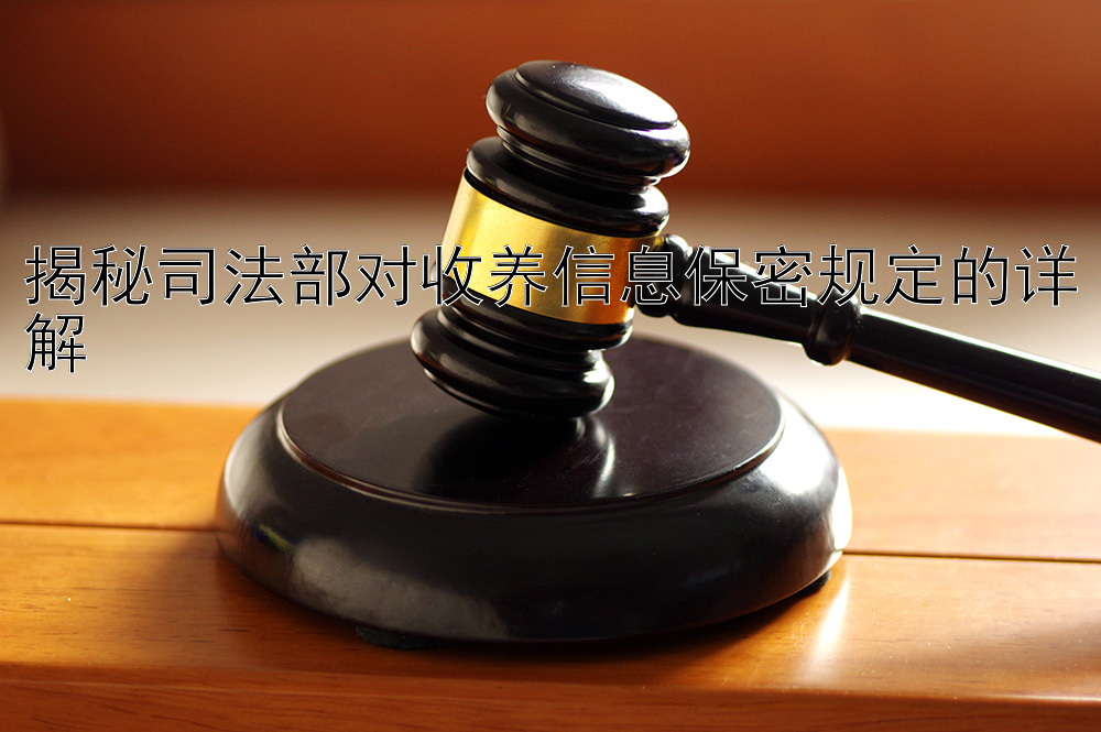 揭秘司法部对收养信息保密规定的详解