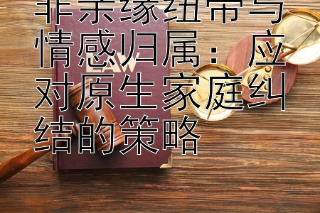 非亲缘纽带与情感归属：应对原生家庭纠结的策略