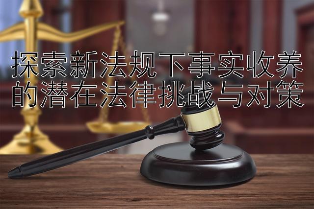 探索新法规下事实收养的潜在法律挑战与对策