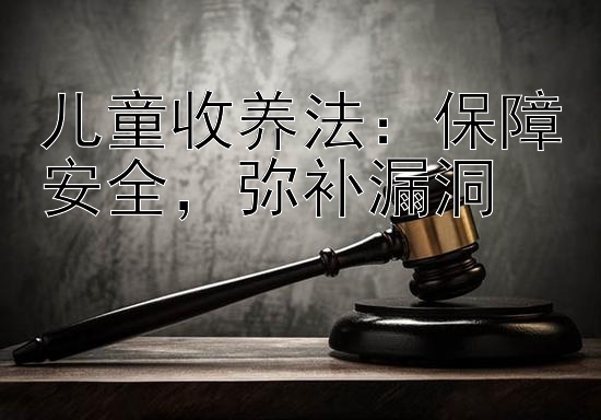 儿童收养法：保障安全，弥补漏洞