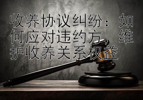 收养协议纠纷：如何应对违约方，维护收养关系权益