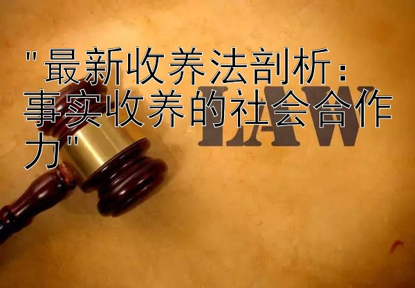 最新收养法剖析：事实收养的社会合作力