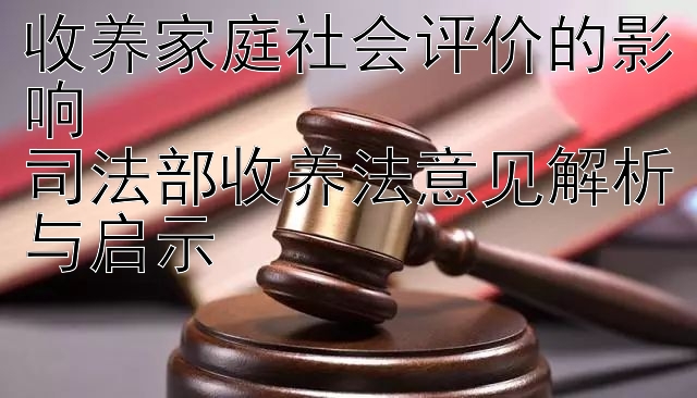 收养家庭社会评价的影响  
司法部收养法意见解析与启示