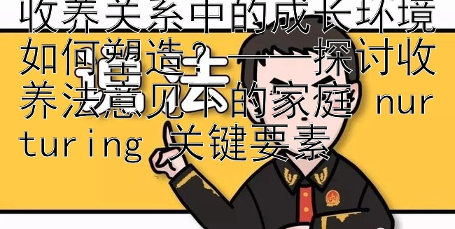 收养关系中的成长环境如何塑造？——探讨收养法意见下的家庭 nurturing 关键要素