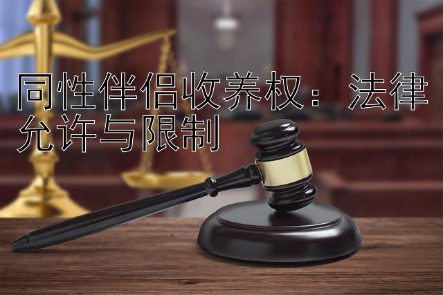 同性伴侣收养权：法律允许与限制