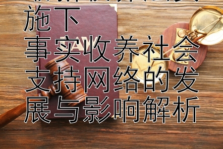 最新收养法实施下  
事实收养社会支持网络的发展与影响解析