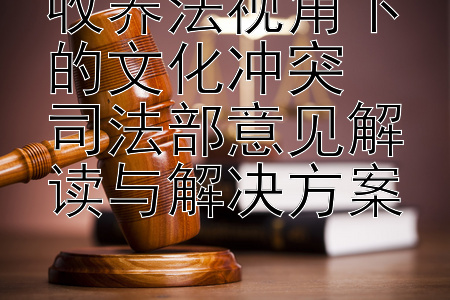 收养法视角下的文化冲突  
司法部意见解读与解决方案