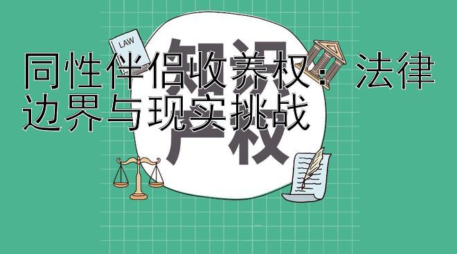 同性伴侣收养权：法律边界与现实挑战