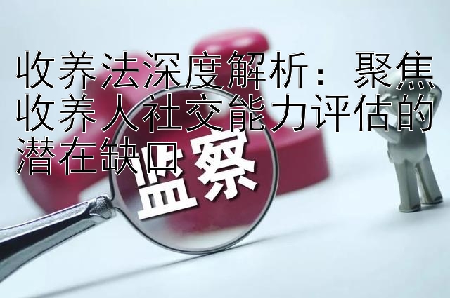 收养法深度解析：聚焦收养人社交能力评估的潜在缺口