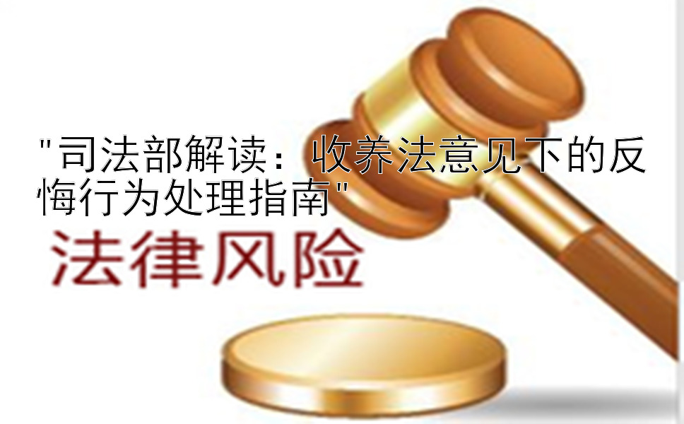 司法部解读：收养法意见下的反悔行为处理指南