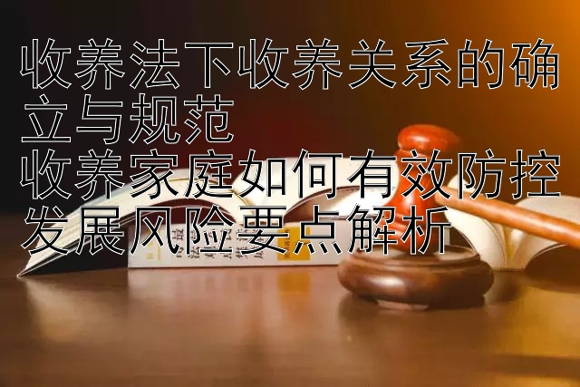 收养法下收养关系的确立与规范  
收养家庭如何有效防控发展风险要点解析